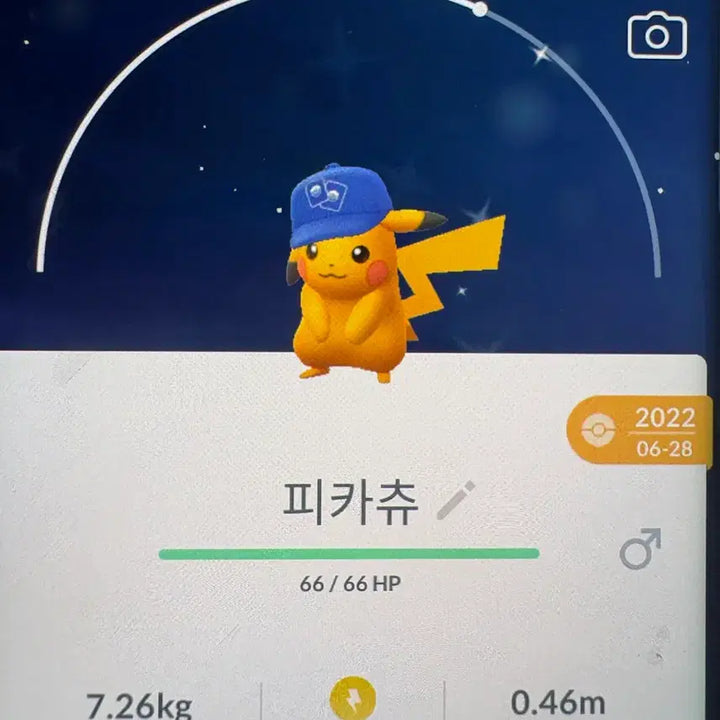 [BUNJANG] Pikachu Mimikyu Costume Shiny 2020 / 피카츄 따라큐 코스튬 이로치 2020
