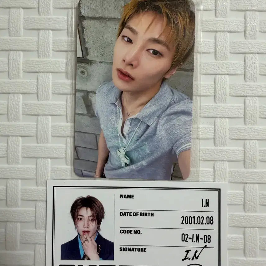 [BUNJANG] Stray Kids I.N Official Photocard / 정인 아이엔 2주차 공방포카 양도 스트레이키즈 스키즈