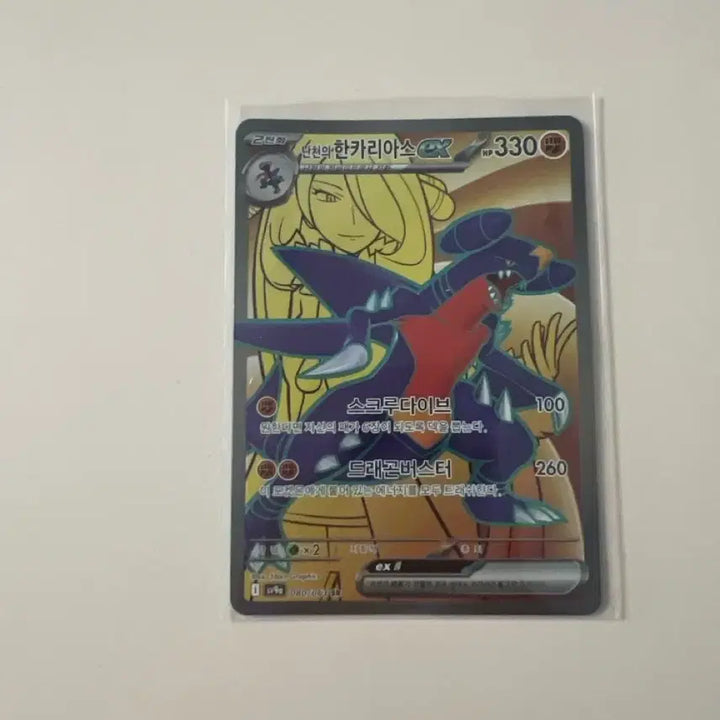 [BUNJANG] N-Cheon Garchomp ex SR / 난천의 한카리아스 ex sr(직거래만 합니다)