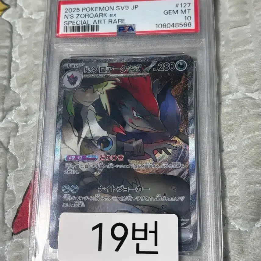 [BUNJANG] Pokemon TCG N&