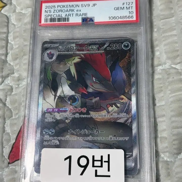 [BUNJANG] Pokemon TCG N&