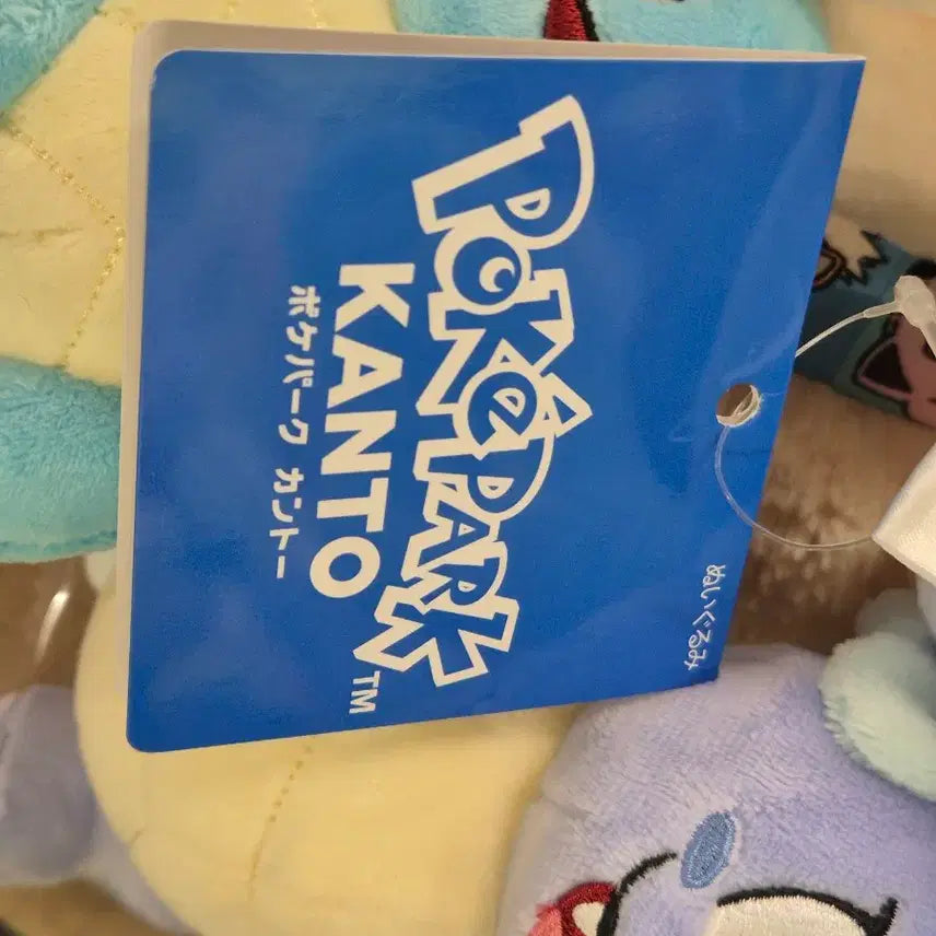 [BUNJANG] Pokémon Squirtle Toy - Poképark Kanto Summer Limited Edition / 토쿄 포케파크 칸토 여름 한정 꼬부기 어니부기