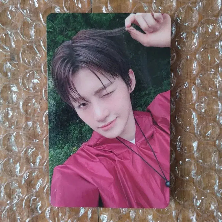 [BUNJANG] TWS SODA × SODA Tsutaya Lucky Draw Jihoon Photocard / 현물) 투어스 소다소다 츠타야 지훈 럭드 포카 양도