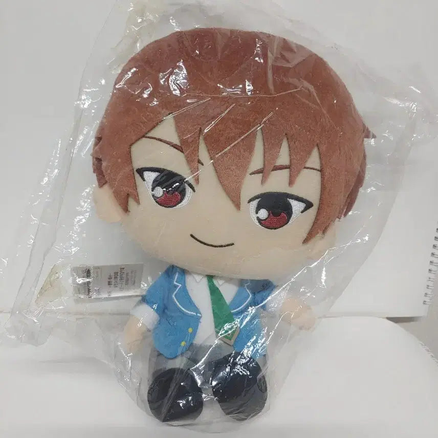 [BUNJANG] Ensemble Stars Chiaki 32cm Big Plush Doll / 급처 공식 앙스타 소장용 치아키 30cm이상 빅 누이