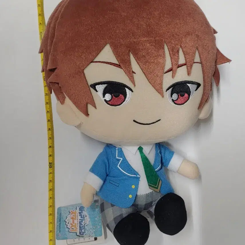 [BUNJANG] Ensemble Stars Chiaki 32cm Big Plush Doll / 급처 공식 앙스타 소장용 치아키 30cm이상 빅 누이
