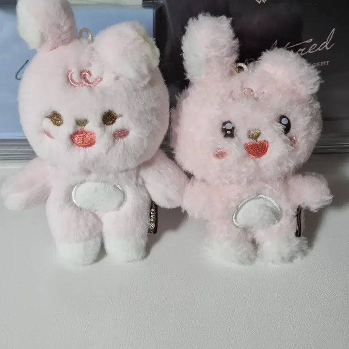 [BUNJANG] Bbomulpil Chorongpil Bundle Set / 쁘멀필 초롱필 일괄양도