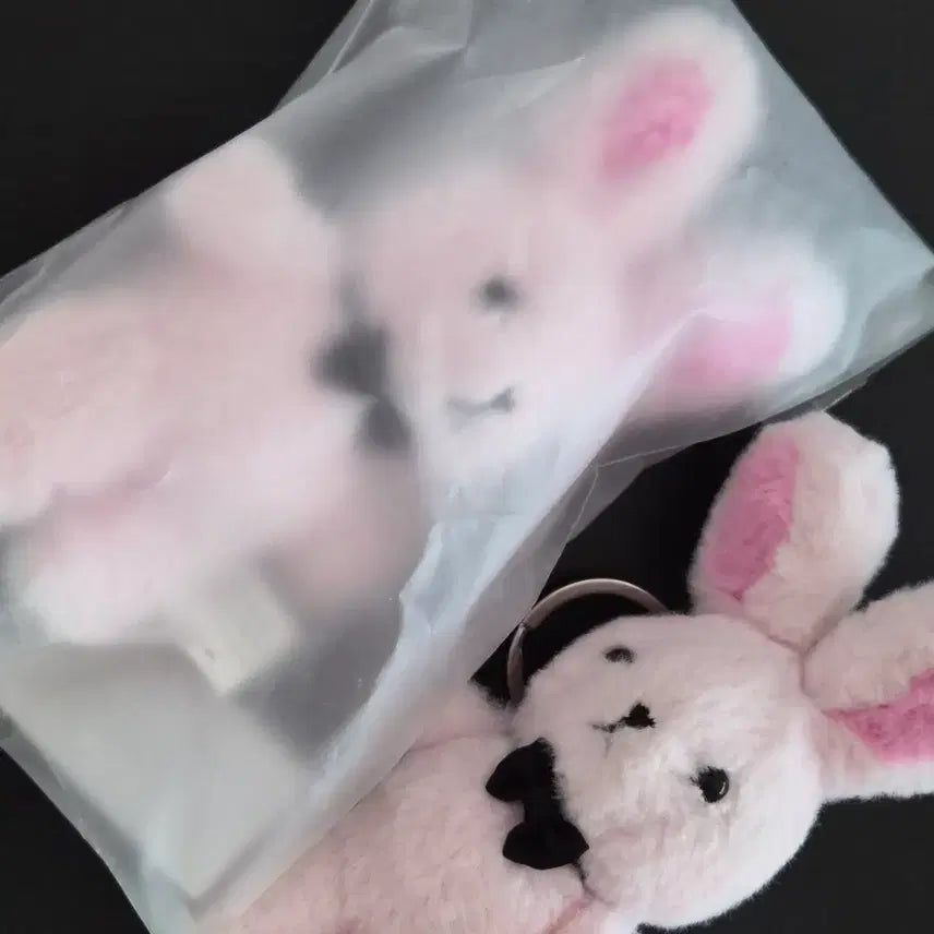 [BUNJANG] Gye-dam Clue Kind Friend Charm / 괴담출근 착한친구 키링