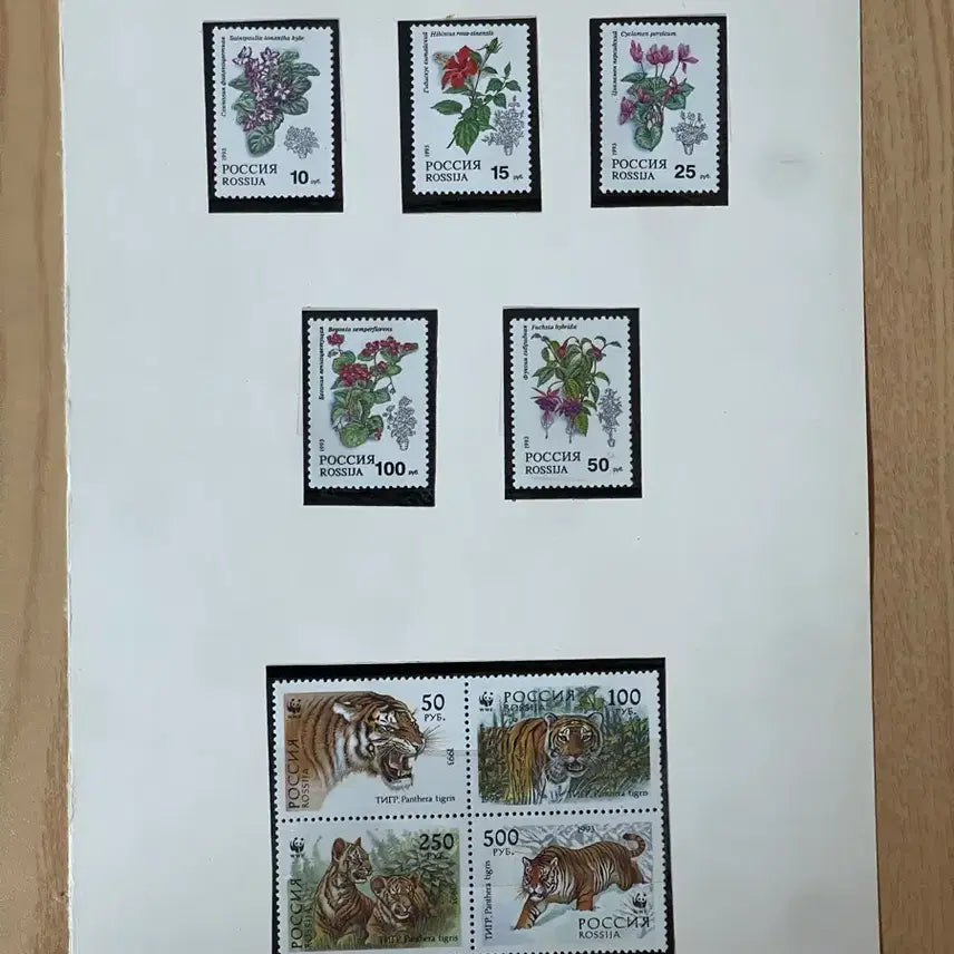 [BUNJANG] Russian Stamp Set: Flowers and Tigers / 러시아 우표 꽃 호랑이 세트