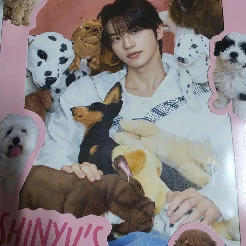 [BUNJANG] SHINYU SHINYU&