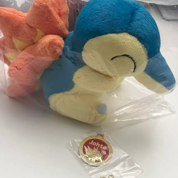 [BUNJANG] Pokemon 30th Anniversary Lottery D Prize Charizard Plush and J Prize Metal Keyring Set / 포켓몬) 30주년 기념 쿠지 제일복권 D상 브케인 인형, J상 메탈 키링 세트