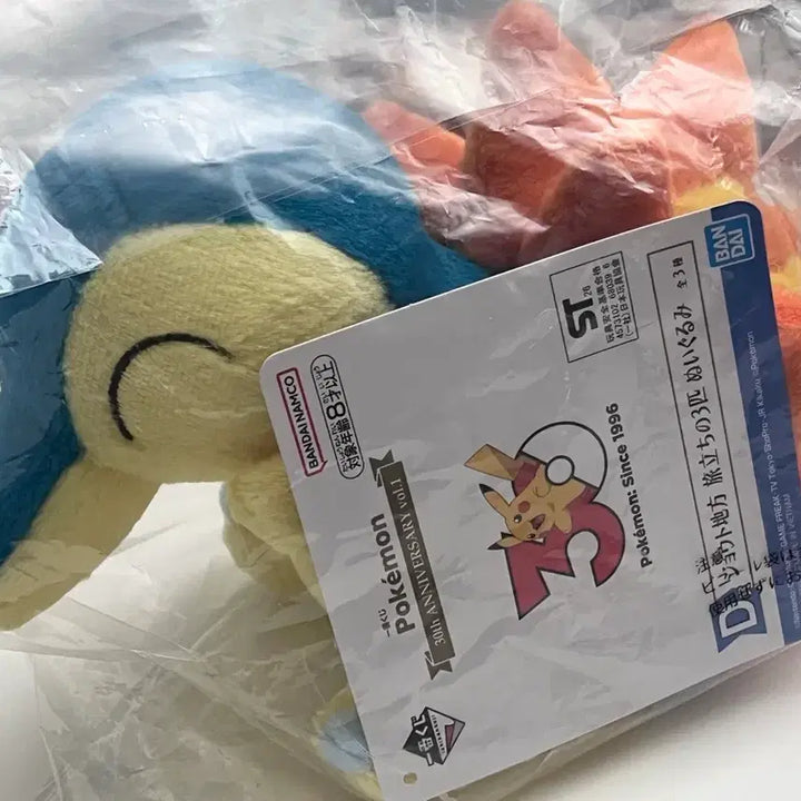 [BUNJANG] Pokemon 30th Anniversary Lottery D Prize Charizard Plush and J Prize Metal Keyring Set / 포켓몬) 30주년 기념 쿠지 제일복권 D상 브케인 인형, J상 메탈 키링 세트