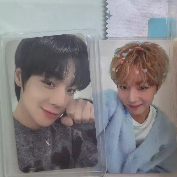 [BUNJANG] Park Jihoon Bundle Set Photocard / 박지훈 포카, 소심이 일괄 판매