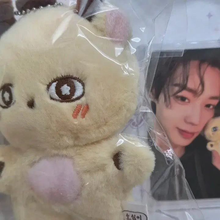 [BUNJANG] Park Jihoon Bundle Set Photocard / 박지훈 포카, 소심이 일괄 판매