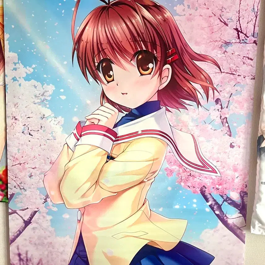 [BUNJANG] Clannad Tomoya Okazaki Nagisa Furukawa 20th Anniversary Lottery B1 Tapestry / 클라나드 후루카와 나기사 20주년 복권 S상 B1 태피스트리