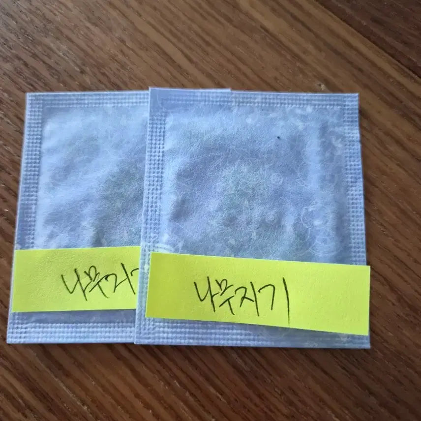 [BUNJANG] Pokemon Bread Seal Sticker Season 5 Namujigi / 포켓몬띠부씰 시즌5 나무지기