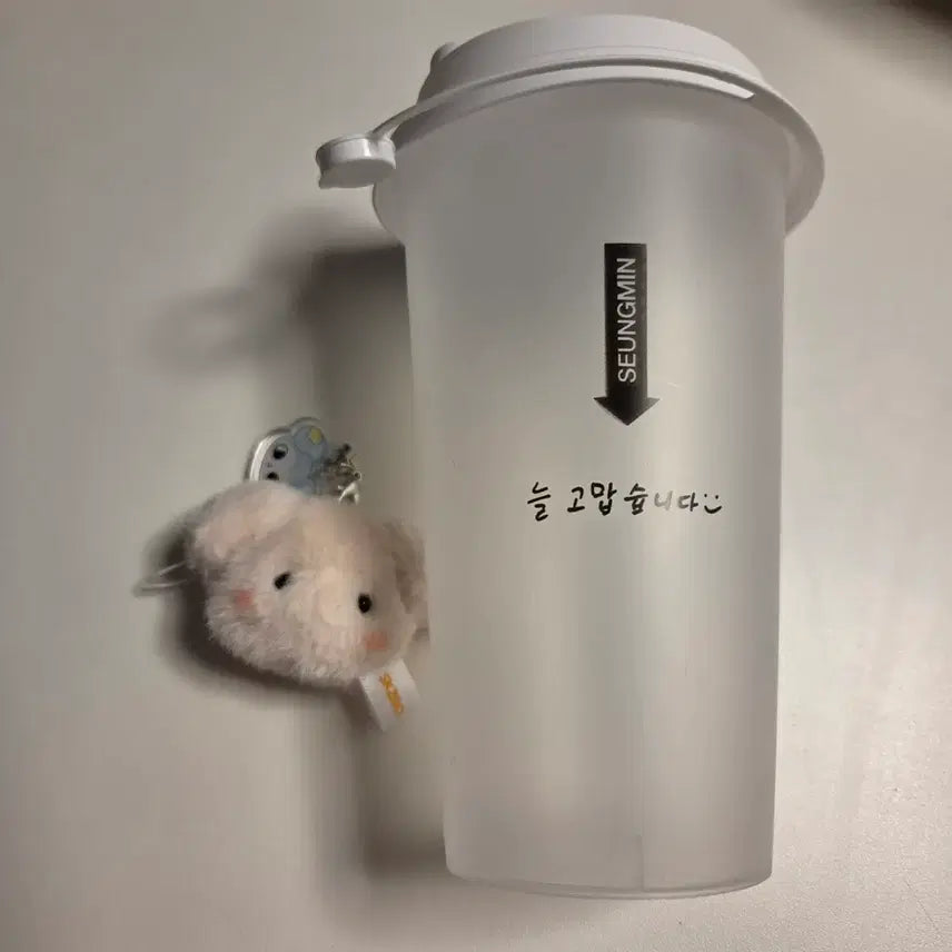 [BUNJANG] Stray Kids Leebit Reusable Cup &amp; Puffy Mini Keyring Set / 스키즈 입장기프트 퍼핌키링+리유저블컵 승민
