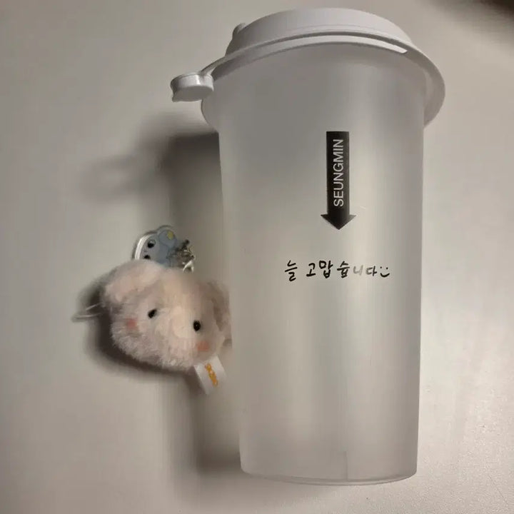 [BUNJANG] Stray Kids Leebit Reusable Cup &amp; Puffy Mini Keyring Set / 스키즈 입장기프트 퍼핌키링+리유저블컵 승민