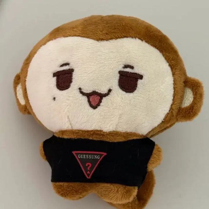 [BUNJANG] Gestee Nosungi Nosungi Hearty EINA Doll Unofficial Goods / 판매] 게스티 노숭이 노싱이 하투하 에이나 인형 비공굿 굿즈