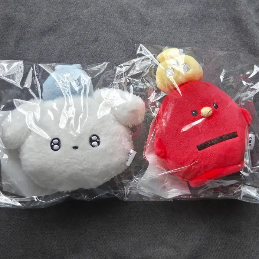 [BUNJANG] Byun Woo Seok Asia Fan Meeting Limited Goods Cup Carrier Set / 변우석 아시아팬미팅 한정굿즈 (컵캐리어세트)