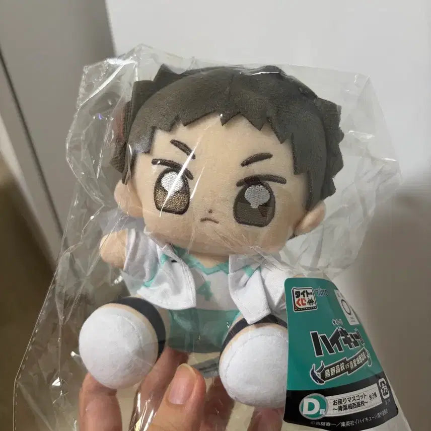 [BUNJANG] Taito Haikyuu!! Kuji D Prize Hajime Iwaizumi Plush Doll / 타이토 하이큐 쿠지 D상 이와이즈미 하지메 누이 인형