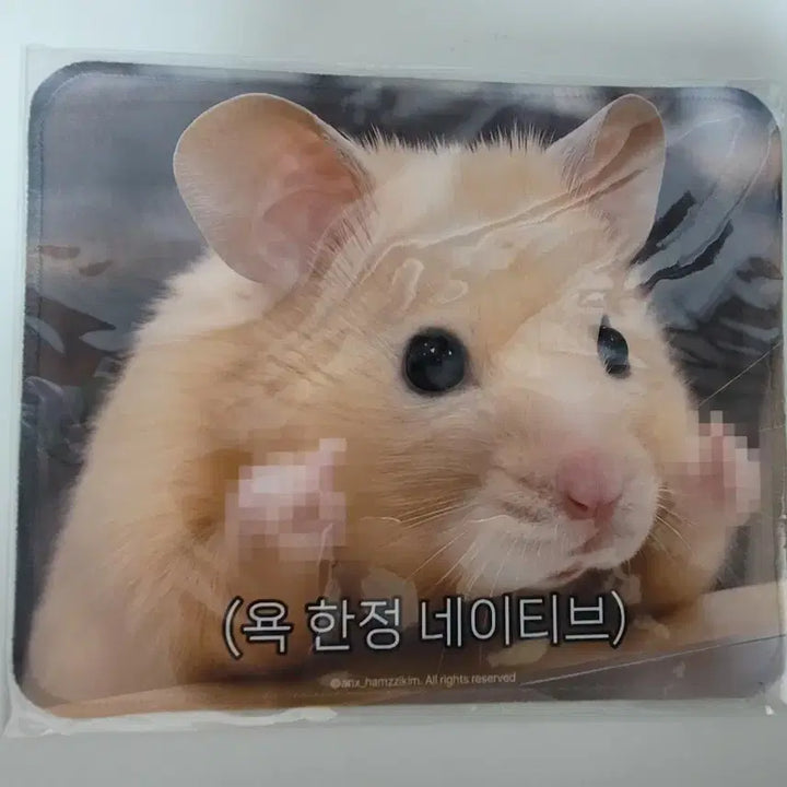 [BUNJANG] Kim Hamzzi Popup Store Mousepad / 김햄찌 팝업스토어 마우스패드 굿즈