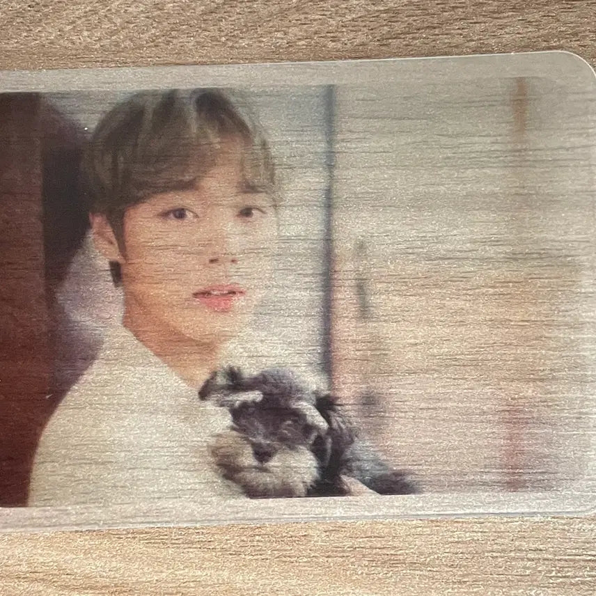 [BUNJANG] Wanna One Park Ji Hoon DICON Photocard / 워너원 박지훈 디아이콘 포카