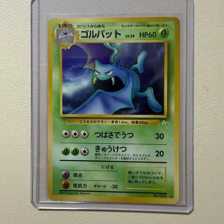 [BUNJANG] Pokemon TCG Zubat 1997 1st Edition / [포켓몬카드] 일판 초판올드백 1997 골뱃