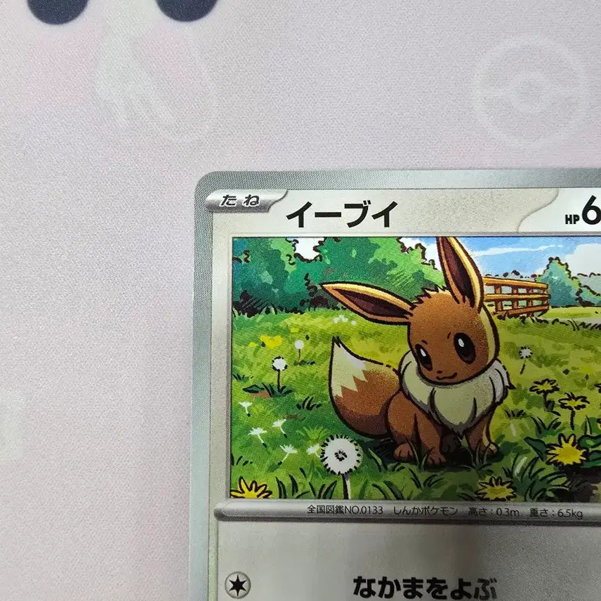 [BUNJANG] Pokemon Card Japanese Eevee Illustration Card 564/742 / 포켓몬카드 일본판 이브이 564/742 일러스트 카드