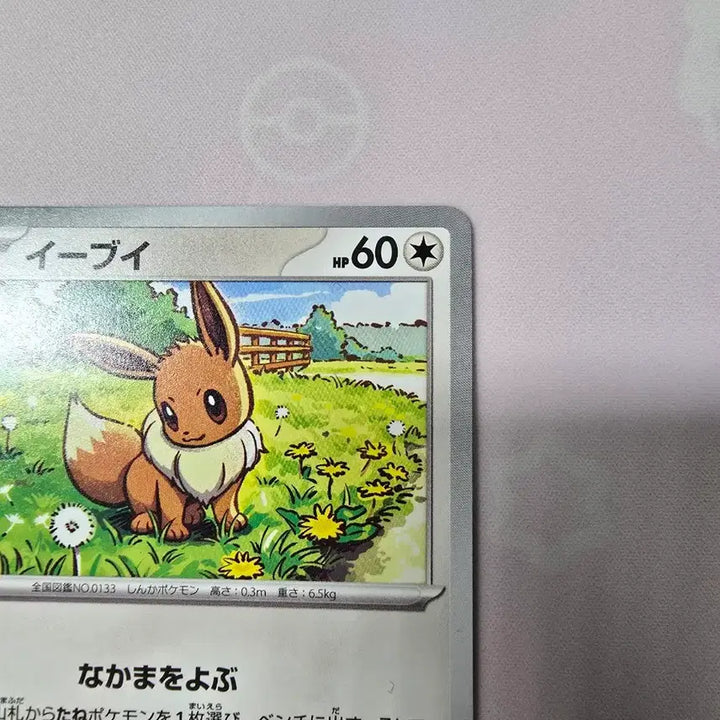 [BUNJANG] Pokemon Card Japanese Eevee Illustration Card 564/742 / 포켓몬카드 일본판 이브이 564/742 일러스트 카드