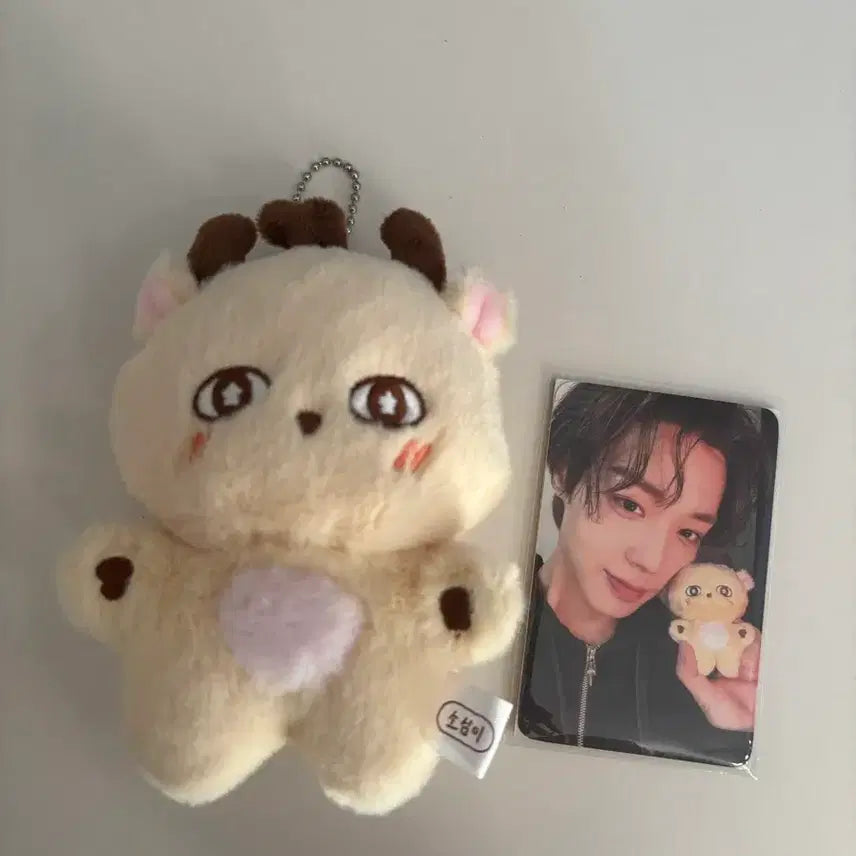 [BUNJANG] Park Jihoon Sosimi Doll Photocard Bundle Set / 박지훈 소심이 인형