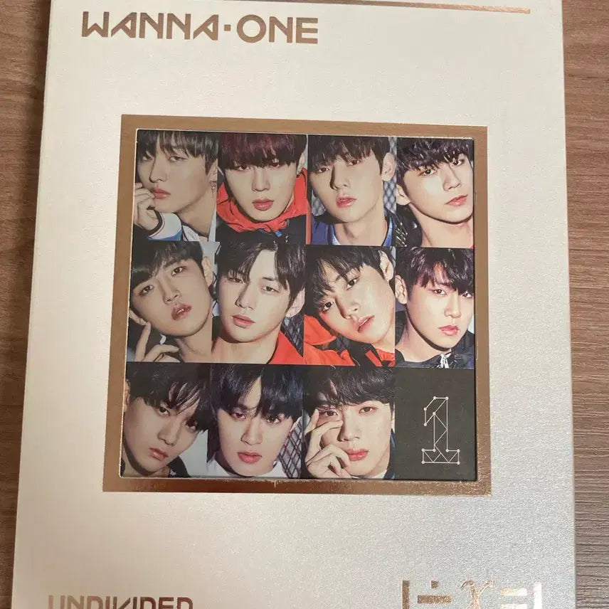 [BUNJANG] Wanna One Undivided Ver. Photocard / 워너원 undivided 워너원 ver