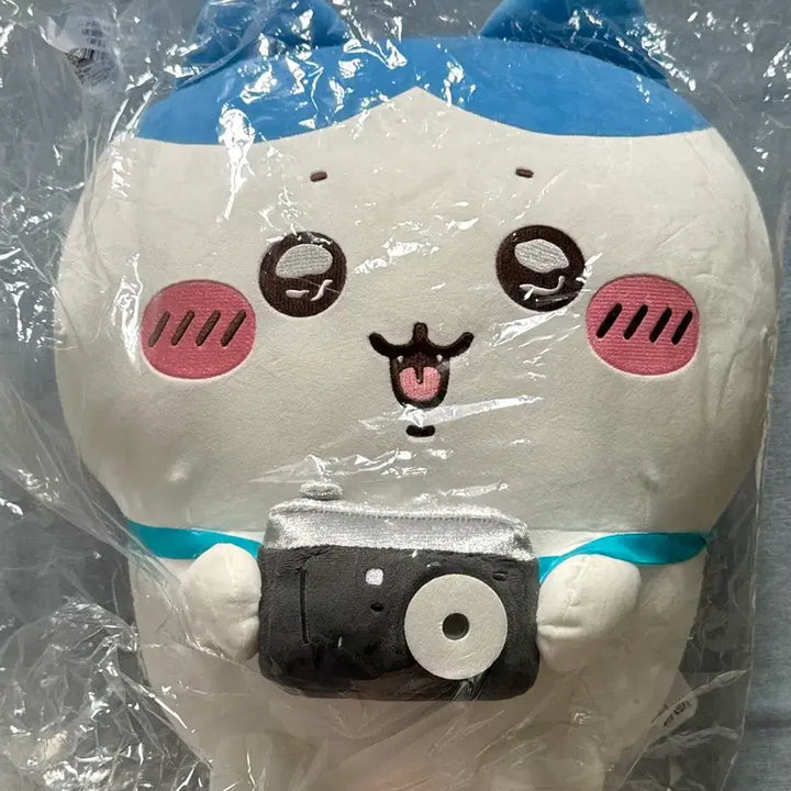 [BUNJANG] Hachware Kuji Prize A Camera (Sealed, Authentic) / 하치와레 쿠지 A상 카메라 미개봉 정품