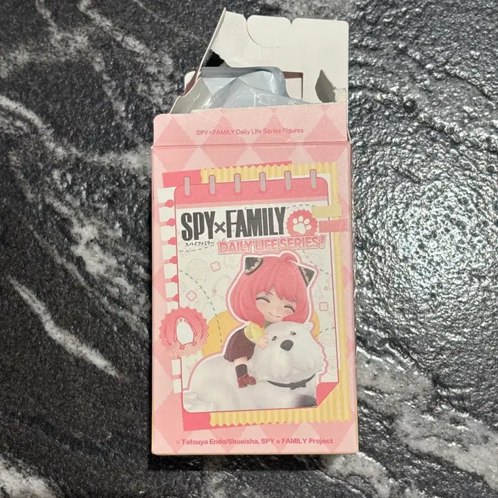 [BUNJANG] Pop Mart Spy x Family Everyday Series Damian Resin Figure / 팝마트 스파이 패밀리 일상 시리즈 다미안 피규어