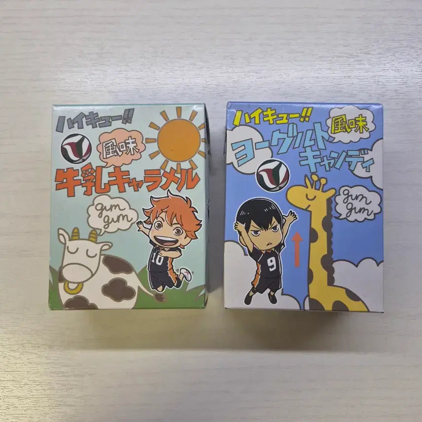 [BUNJANG] Haikyuu!! Karasuno High School L-Folder / 하이큐 카라스노 l자파일