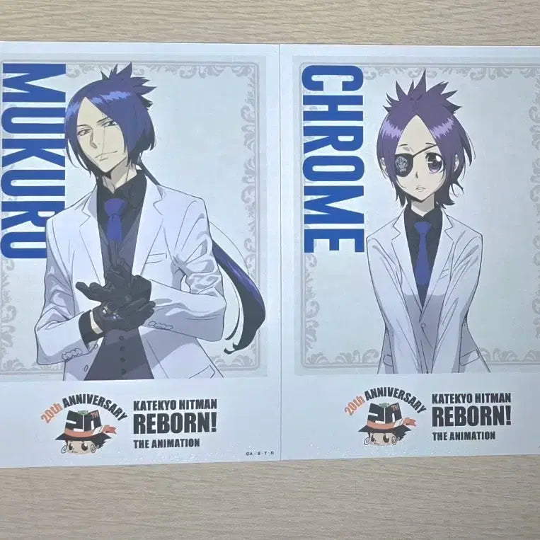 [BUNJANG] Katekyo Hitman Reborn! 20th Anniversary Pop-up Bromide Bundle Set / 가히리 20주년 팝업 브로마이드 일괄판매