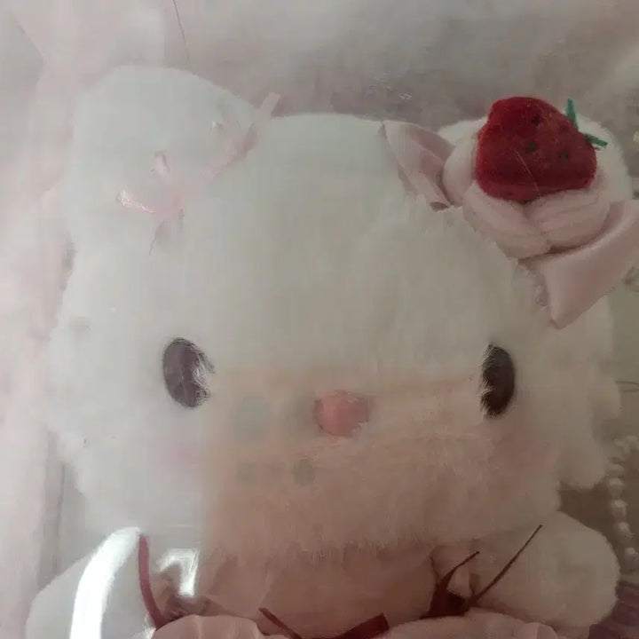 [BUNJANG] Sanrio Hello Kitty Shortcake 2 Plush Doll (Sealed) / 산리오 헬로키티 쇼트케이크2 누이 미개봉