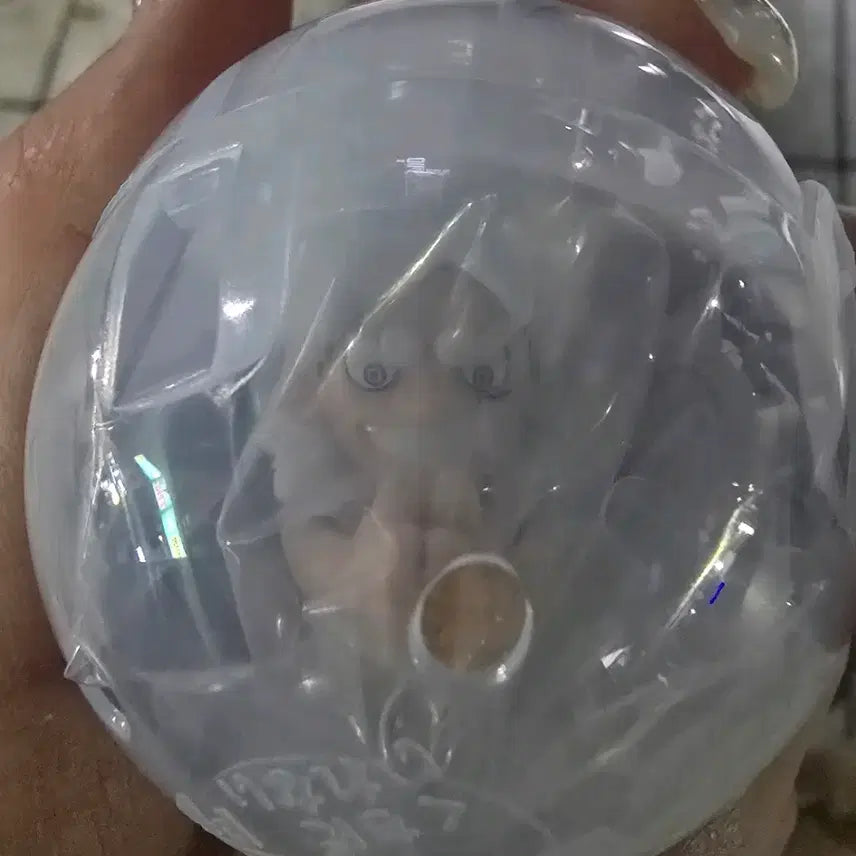 [BUNJANG] One Piece Gear 5 Luffy Gacha Ring Figure / 원피스 니카 기어5 컬렉션 피규어 대롱 가챠 B