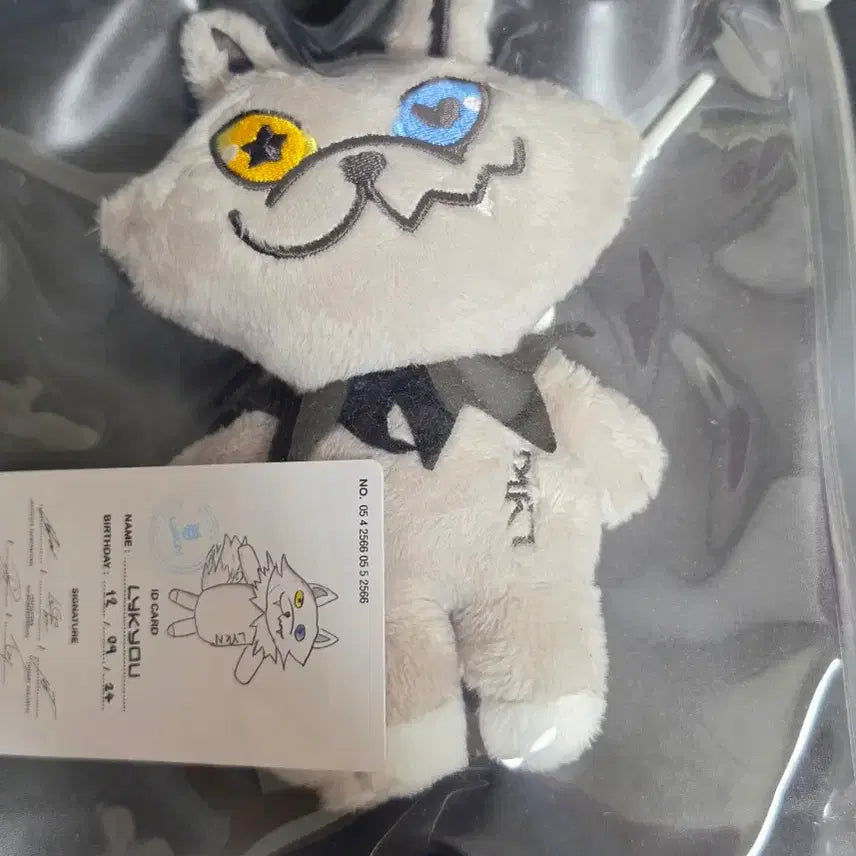 [BUNJANG] GMM Live Q Doll / gmm 라이큐 인형 양도