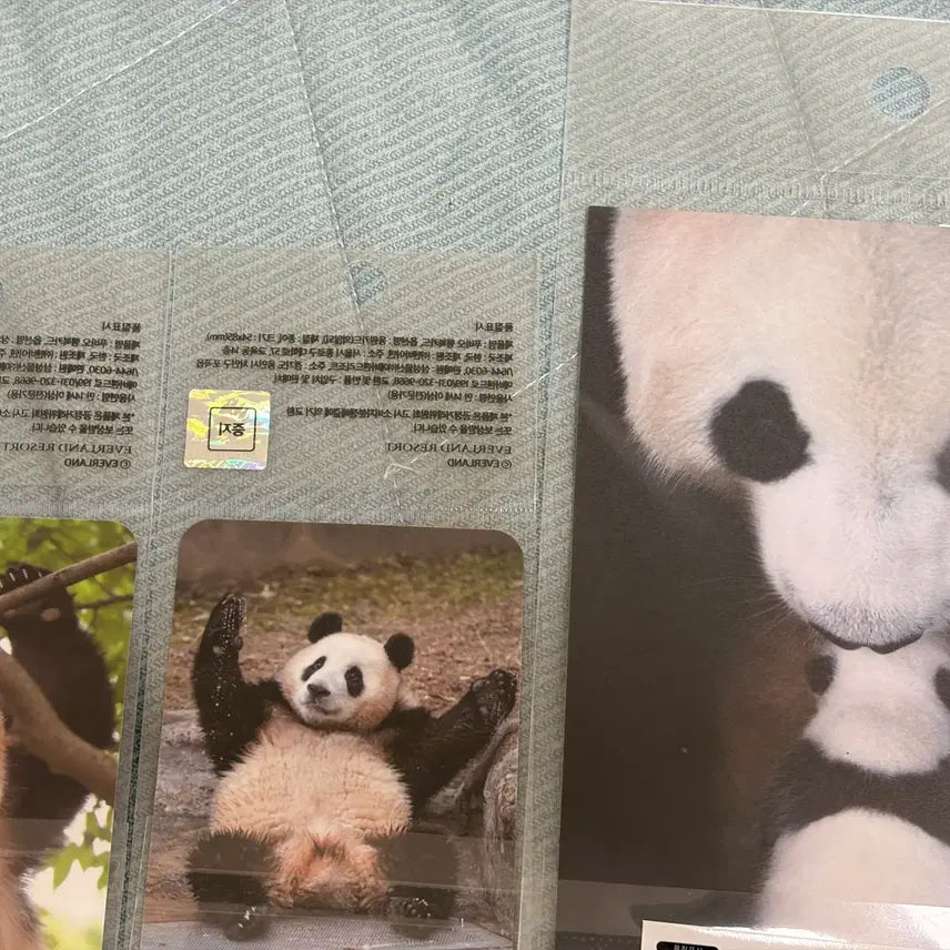 [BUNJANG] Fu Bao Postcard &amp; Photocard Bundle Set / 푸바오 엽서, 포카 일괄