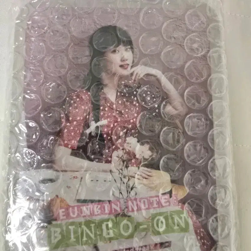 [BUNJANG] Park Eun Bin BingoOn Japan Tin Case Photocard Holder (Sealed) / 박은빈 빙고온 일본 틴케이스 미개봉