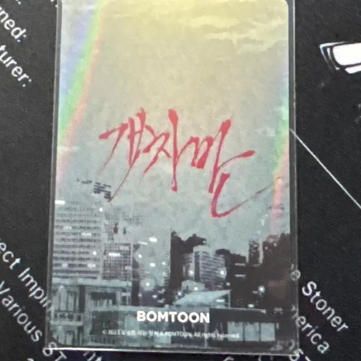 [BUNJANG] Bomtoon Gaechaban Ryunamu Photocard / 봄툰 개차반 류난무 포카