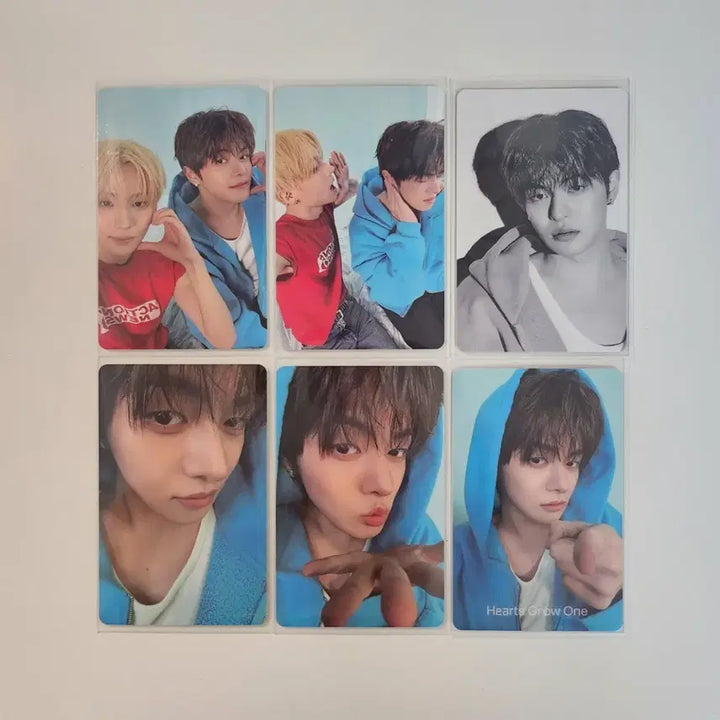 [BUNJANG] Alphadriveone Dicon Leo Sangrioz Photocard / 알파드라이브원 디아이콘 리오 상리오즈 포카