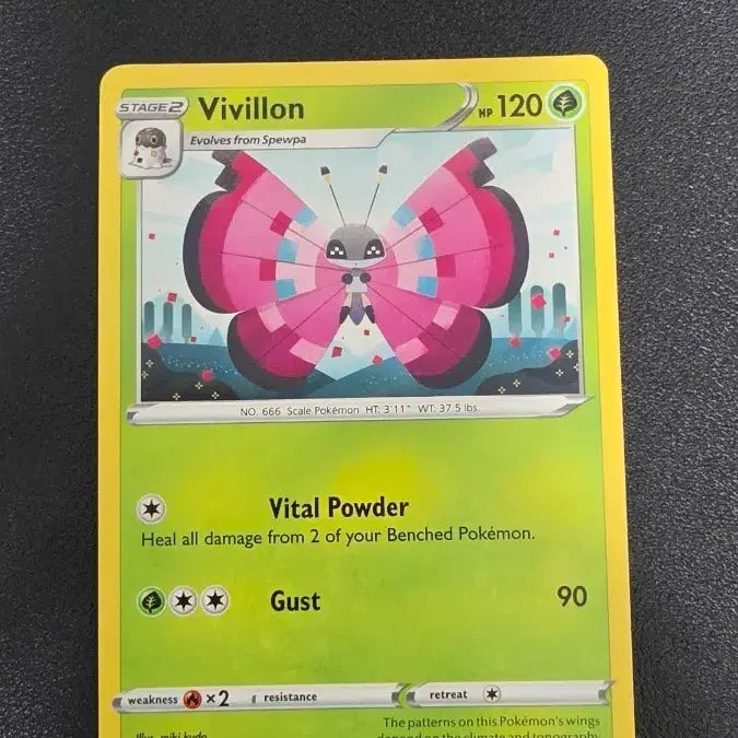 [BUNJANG] Pokemon Card North America Vivillon 013/163 / 포켓몬 카드 북미 비비용 013/163