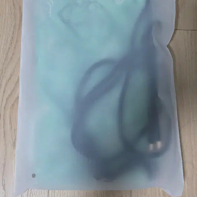 [BUNJANG] Pokemon Traditional Edition Celadon Eco Bag / 포켓몬 전통에디션 청자빛 에코백