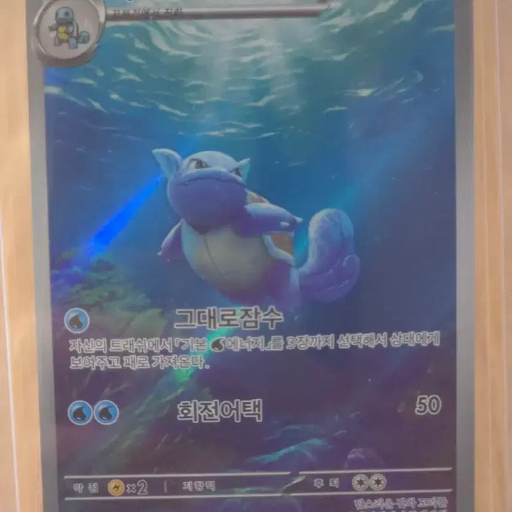 [BUNJANG] Butterfree AR Card / 포켓몬카드 어니부기 AR