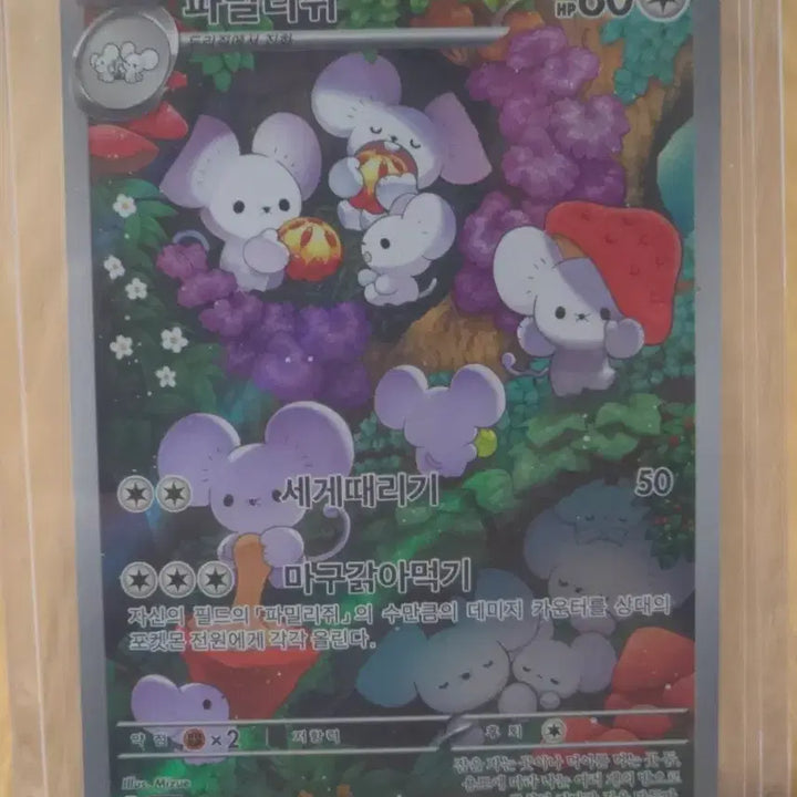 [BUNJANG] Pokemon Familygies AR Card / 포켓몬카드 파밀리쥐 ar카드