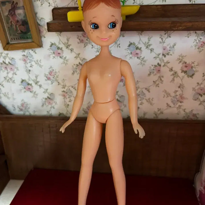 [BUNJANG] Nakajima Seisakusho Roco Tan Doll / 나카지마제작소 로코탄
