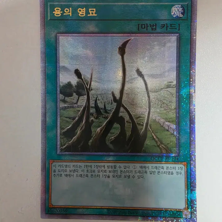 [BUNJANG] Yu-Gi-Oh! Dragon Shrine QC Secret Rare (QCCP-KR194) / 유희왕 용의 영묘 QC Secret Rare