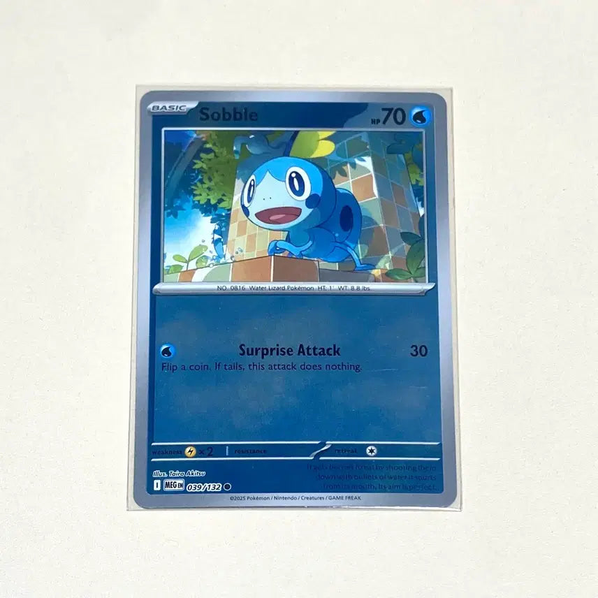 [BUNJANG] Pokemon Card North American Ursaluna Mirror Holo (English) / (포켓몬카드) 북미 울머기 미러홀로 (영판, 영어판)