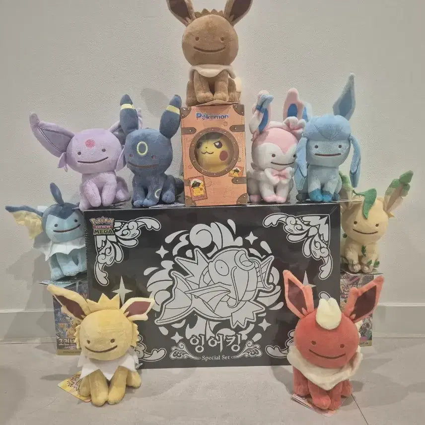 [BUNJANG] Eevee&